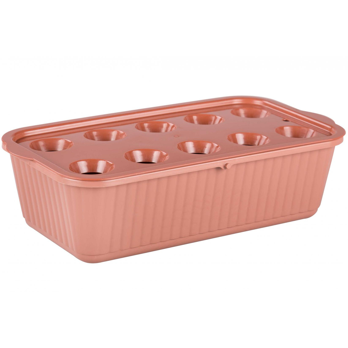 Ящик для выращивания лука коричневый М6716