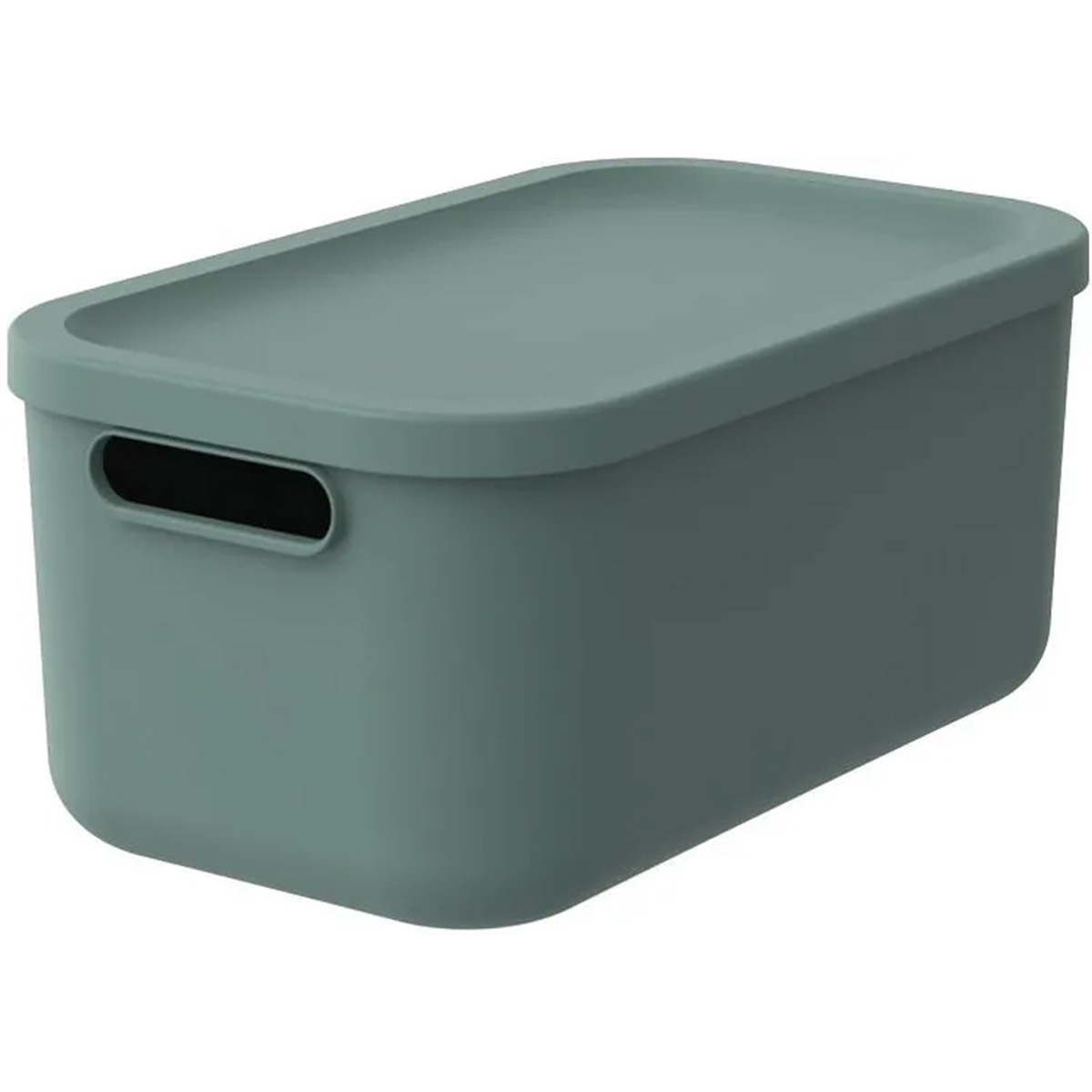 Короб для хранения ROTHO ALBULA 12л зеленый 1055605092