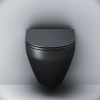Унитаз подвесной AM.PM C701700MBSC Spirit V2.0  FlashClean с сиденьем микролифт, черн мат,