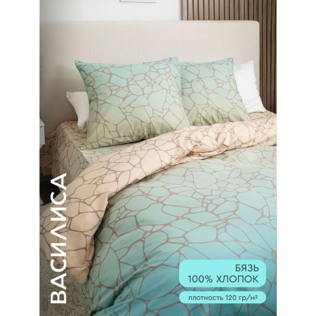 Комплект постельного белья Василиса 2,0 сп нав 70х70х2 шт 20839/1 Бязь
