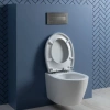 Унитаз AQUANET ZVEZDA-1  с сиденьем Soft Close -SLIMSEAT подвесной, с Rimless Tornado (303977)
