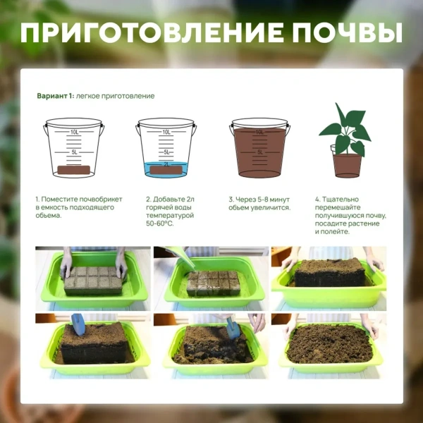 Почвобрикет БиоМастер Чудный лимон, 5л