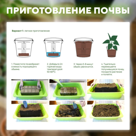 Почвобрикет БиоМастер Чудный лимон, 5л