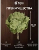 Веник канадский дуб Богатырь Банные штучки 32116