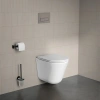 Унитаз подвесной безободковый, Ray, IDDIS, RAYRDSEi25