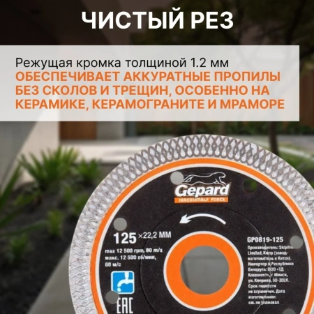Круг алмазный 125х22 мм по керамике сплошн. тонкий GEPARD, арт.GP0819-125