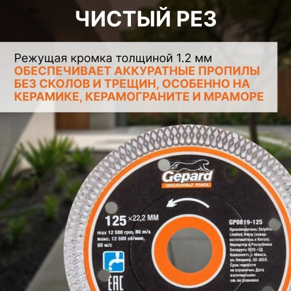 Круг алмазный 125х22 мм по керамике сплошн. тонкий GEPARD, арт.GP0819-125