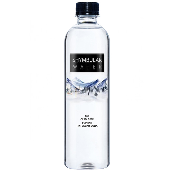 Shymbulak вода горная питьевая 0,5мл