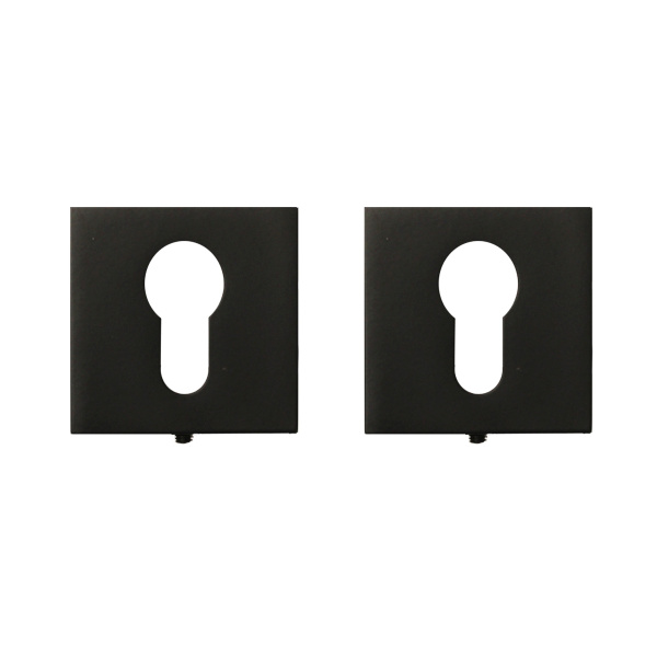 Z95-PZ B накладка под ключ