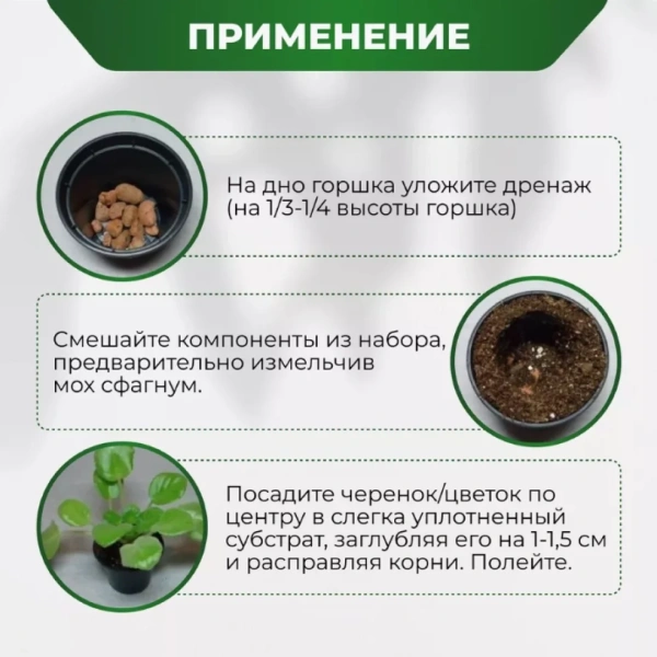 Субстракт БиоМастер - для Фиалок, 2 л.