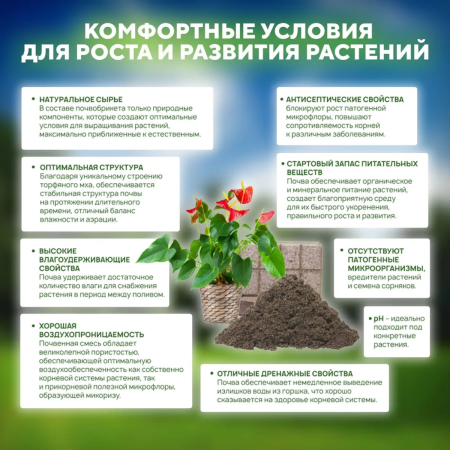 Почвобрикет БиоМастер Цветочный сад, 10л