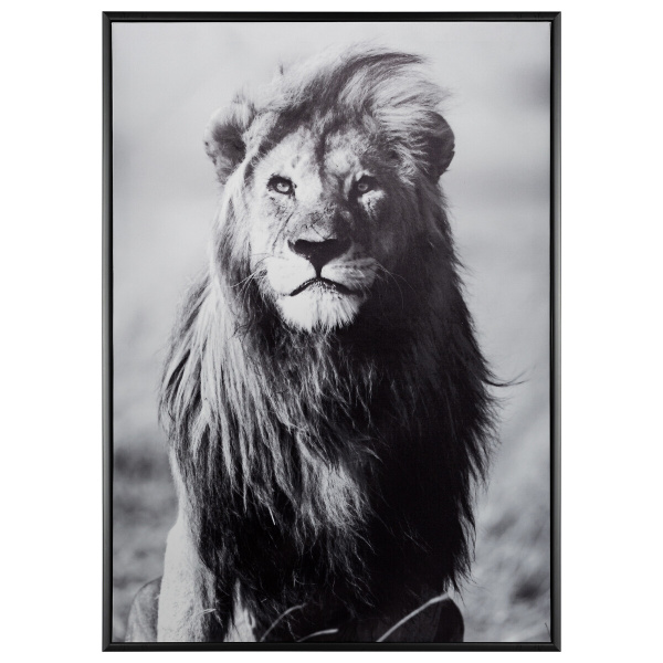 Канвас Atmosphera 50х2,5х70 см 12 видов в ассорт.166938DIS