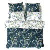 Комплект постельного белья Волшебная Ночь 2,0 СП нав. 50х70 см RAINY GARDEN 925639
