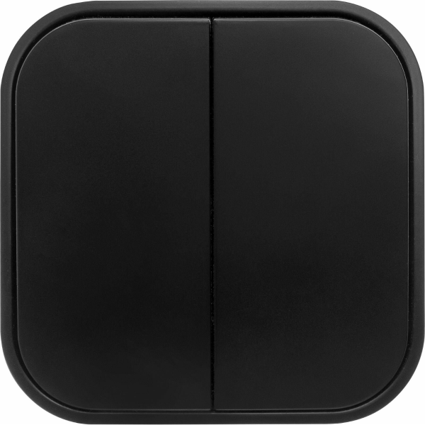 Выключатель 2 клав. (открытый, 10А) черный, Bailly, LEIDEN ELECTRIC, арт.806012