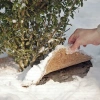 Круг приствольный Мульчаграм 30 см 5шт