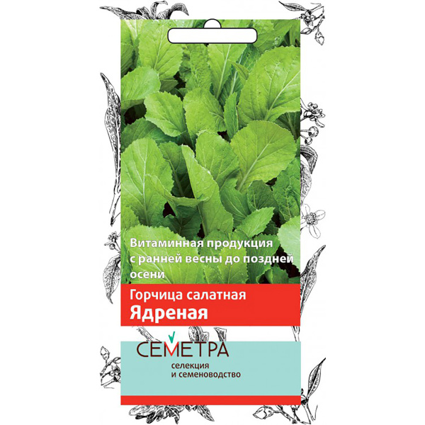 Семена Зелень Горчица салатная Ядрёная (А)(Семетра) 1гр