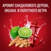 Гель для душа Old Spice Captain  250мл