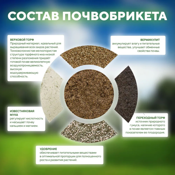 Почвобрикет БиоМастер Зеленая Пальма, 5л