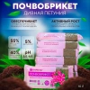 Почвобрикет Дивная петуния, 10л с гидрогелем БиоМастер