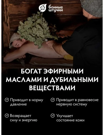 Веник канадский дуб Богатырь Банные штучки 32116