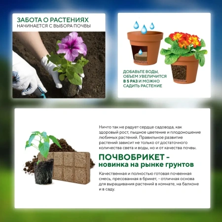 Почвобрикет Дивная петуния, 10л с гидрогелем БиоМастер