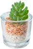 Растение искусственное Atmosphera Zo суккулент в стеклянном горшке 10 см3 вида в ассортименте 168548