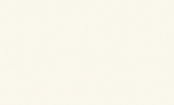 Обои RENOWA 589891 Natali (10,05*1,06)(6) виниловые с антивандальным эффектом