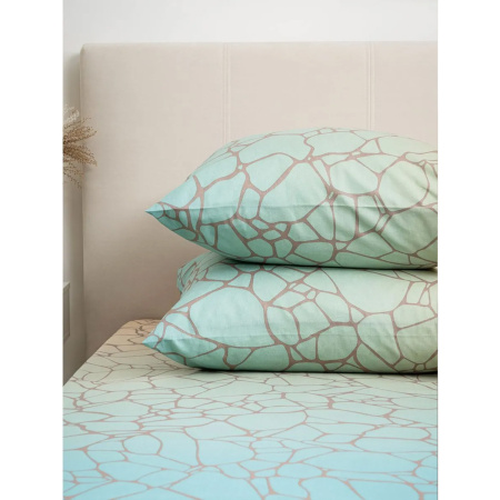 Комплект постельного белья Василиса 2,0 сп нав 70х70х2 шт 20839/1 Бязь