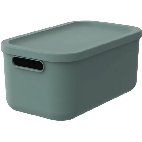 Короб для хранения ROTHO ALBULA 12л зеленый 1055605092