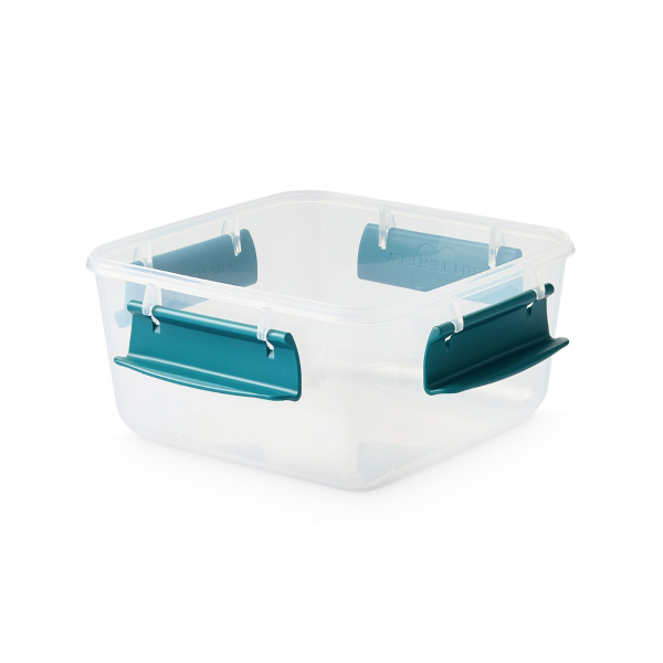 Контейнер BUTTERFLY BRIGHT 1,2л герметичный хвоя C78478