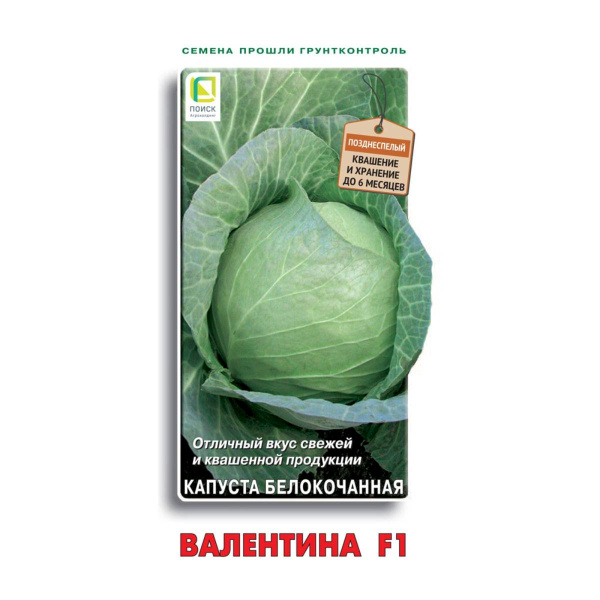 Семена Капуста белокочанная Валентина F1 0,2гр Поиск